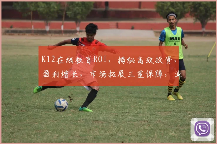 K12在线教育ROI，揭秘高效投资，盈利增长，市场拓展三重保障，业绩飙升